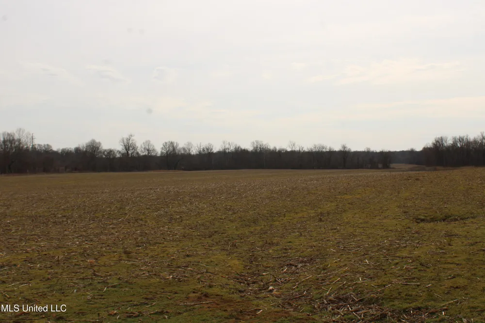 6000 Austin Road Lake Cormorant, MS 38641