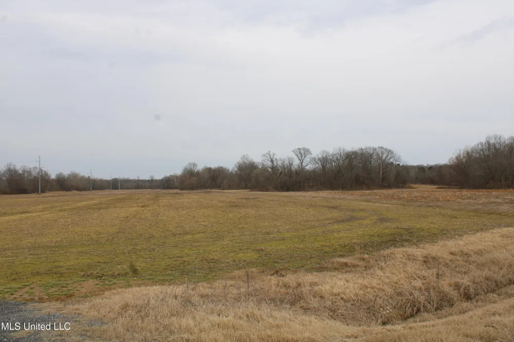 6000 Austin Road Lake Cormorant, MS 38641