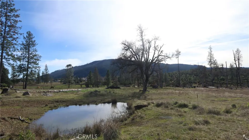 15057 E Hoberg Drive Cobb, CA 95426