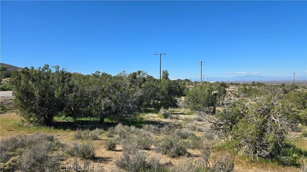 Valyermo Road Pearblossom, CA 93553