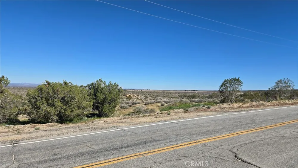 Valyermo Road Pearblossom, CA 93553