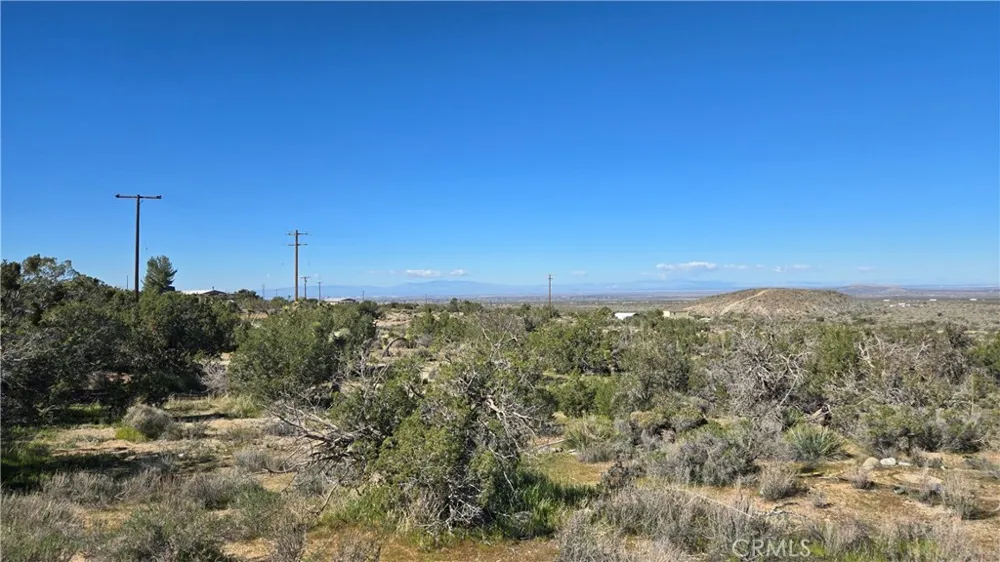 Valyermo Road Pearblossom, CA 93553