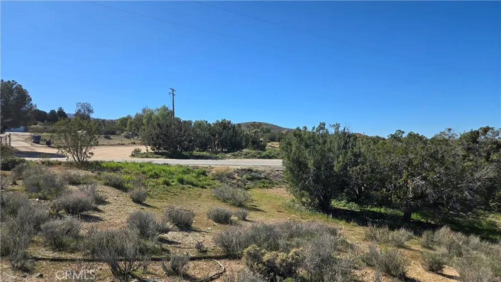 Valyermo Road Pearblossom, CA 93553
