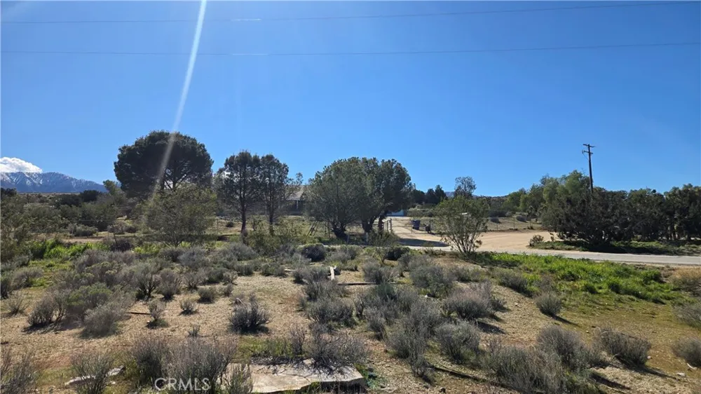 Valyermo Road Pearblossom, CA 93553