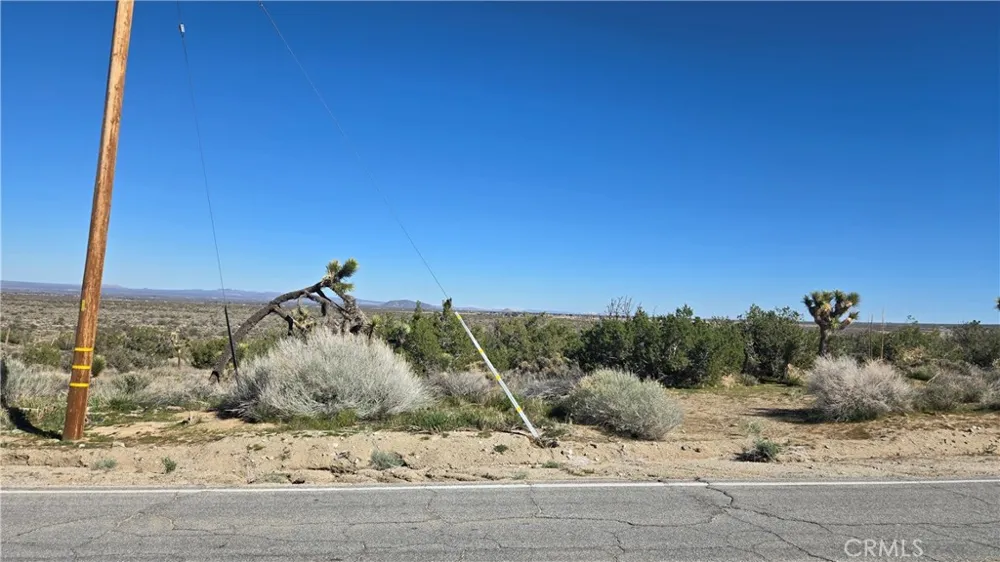 Valyermo Road Pearblossom, CA 93553
