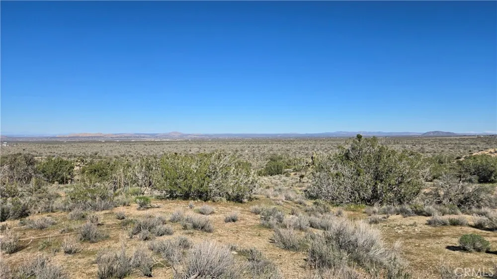 Valyermo Road Pearblossom, CA 93553