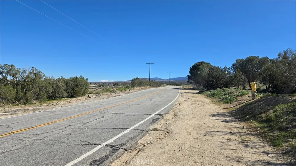 Valyermo Road Pearblossom, CA 93553