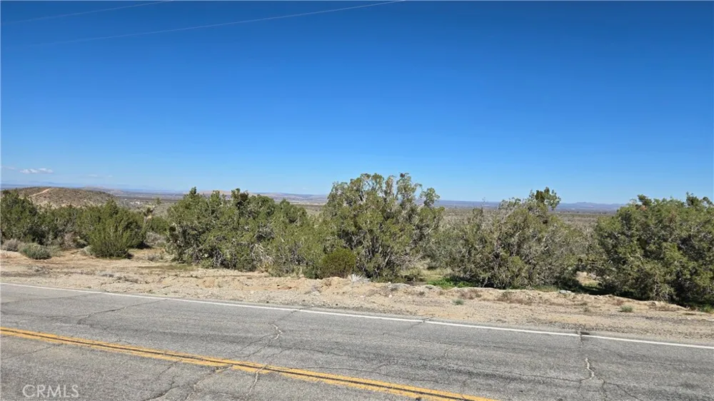 Valyermo Road Pearblossom, CA 93553