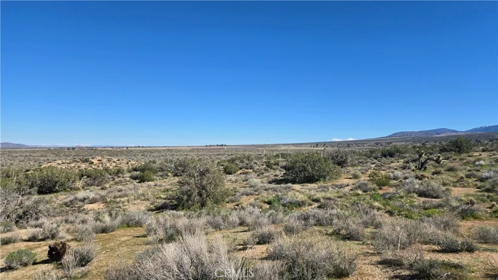 Valyermo Road Pearblossom, CA 93553