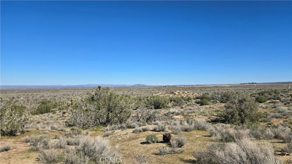 Valyermo Road Pearblossom, CA 93553
