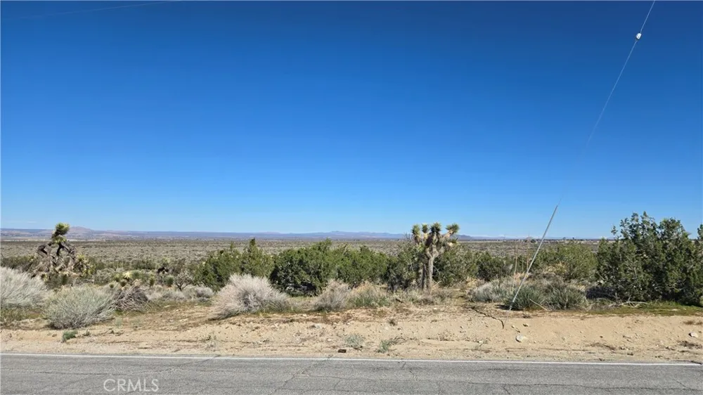 Valyermo Road Pearblossom, CA 93553