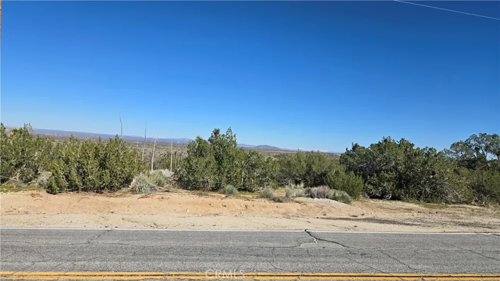 Valyermo Road Pearblossom, CA 93553