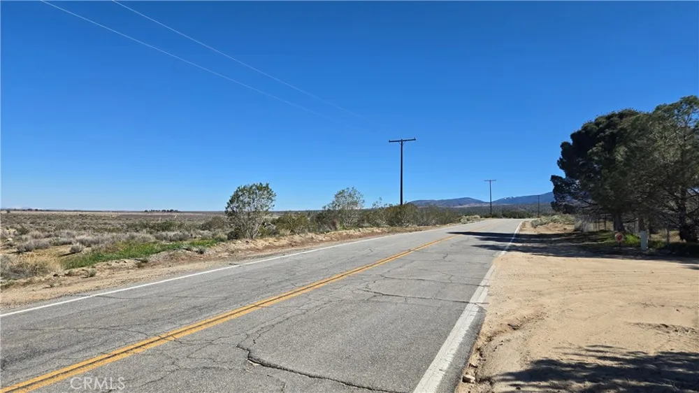 Valyermo Road Pearblossom, CA 93553