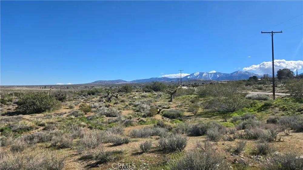 Valyermo Road Pearblossom, CA 93553