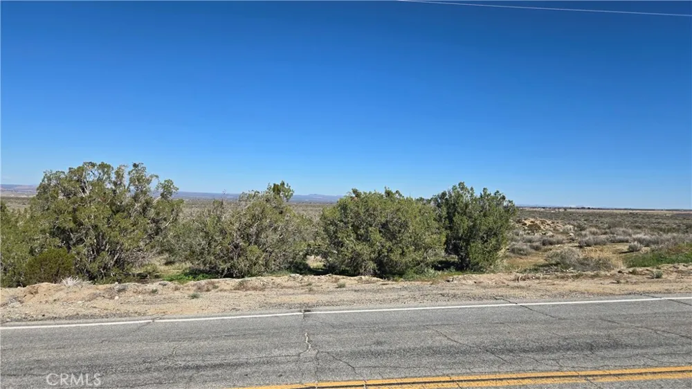 Valyermo Road Pearblossom, CA 93553