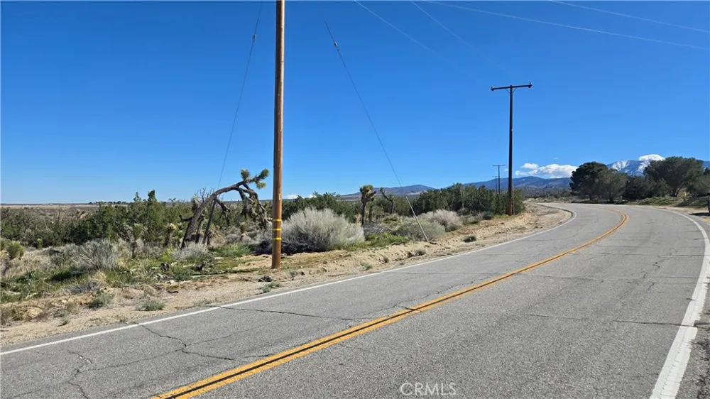 Valyermo Road Pearblossom, CA 93553