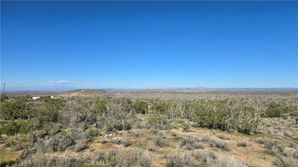 Valyermo Road Pearblossom, CA 93553