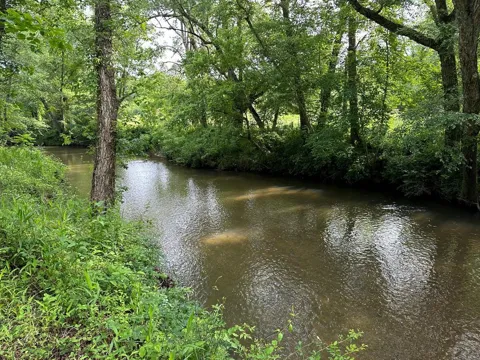 Lot 55 Brasstown Trails