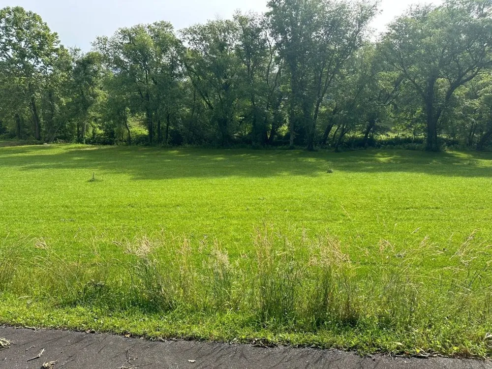 Lot 55 Brasstown Trails Warne, NC 28909
