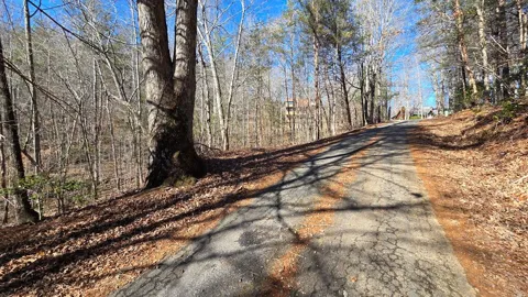 Lt 11 Mountain Laurel Est.