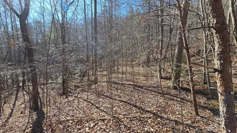 Lt 12 Mountain Laurel Est.