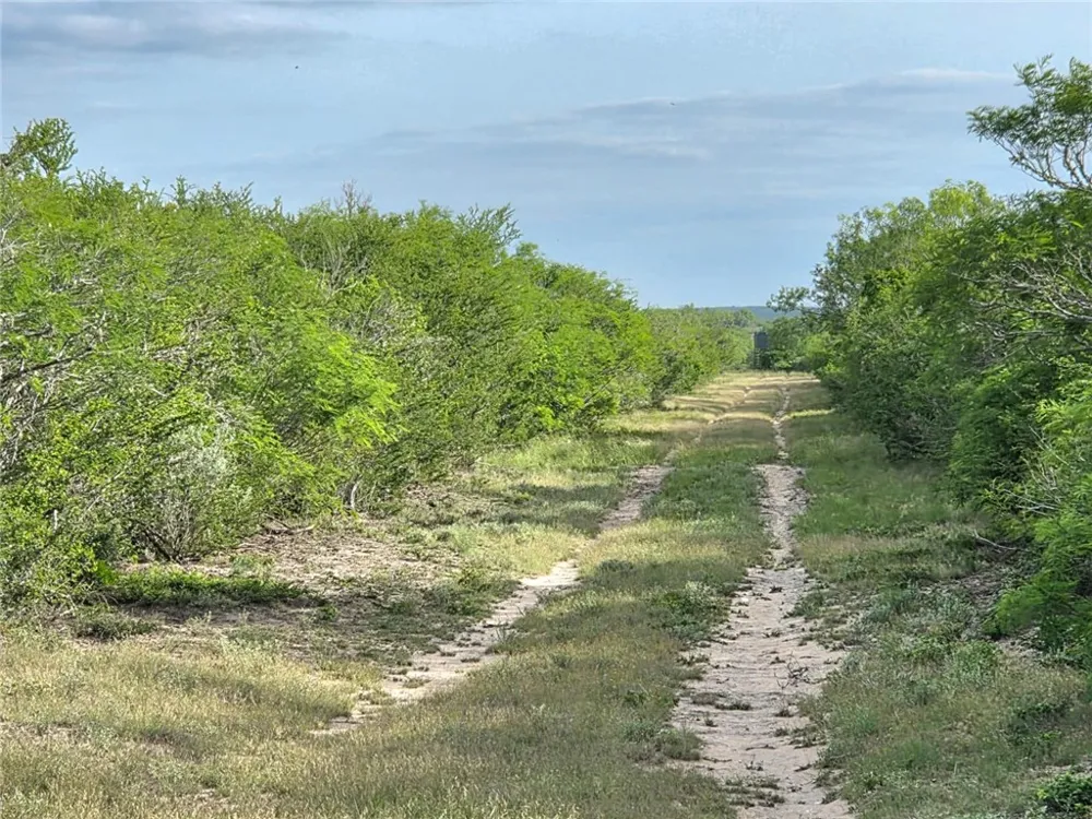 3073 Bravo 6 San Diego, TX 78384