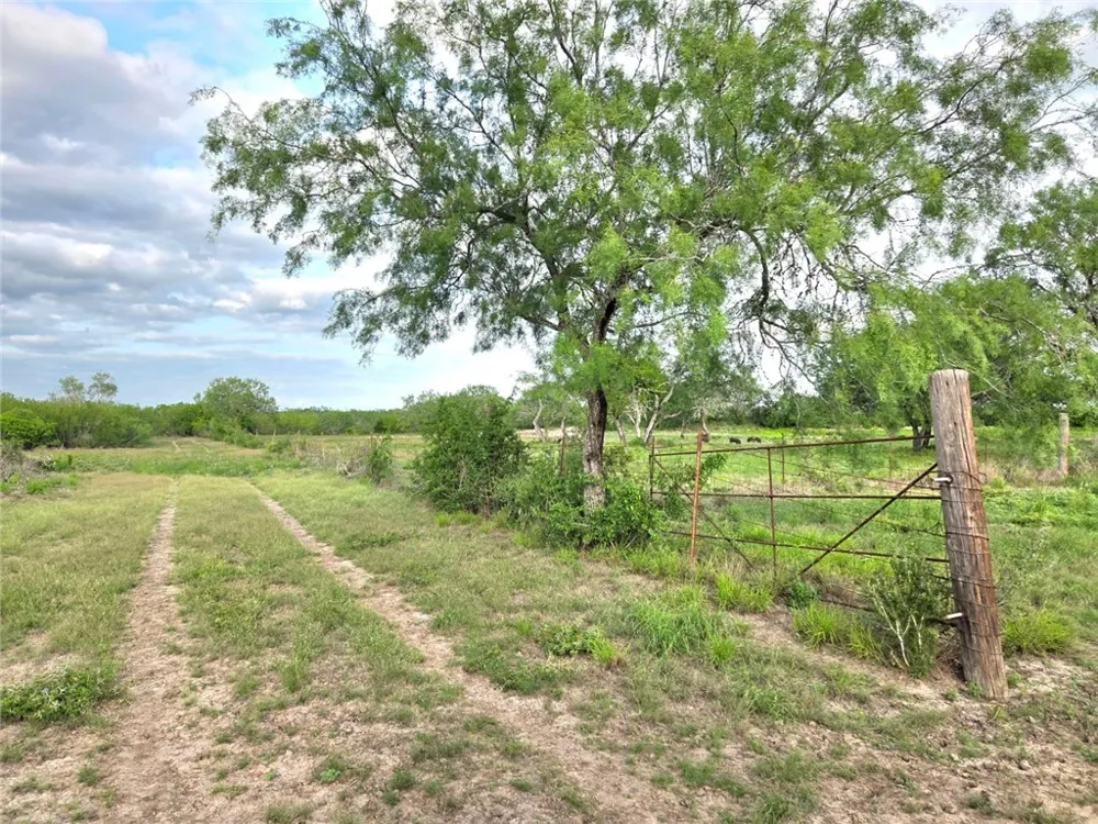 3073 Bravo 6 San Diego, TX 78384