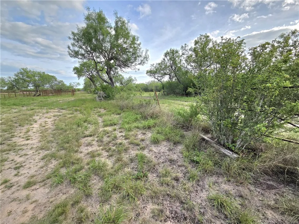3073 Bravo 6 San Diego, TX 78384