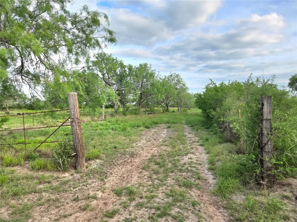 3073 Bravo 6 San Diego, TX 78384