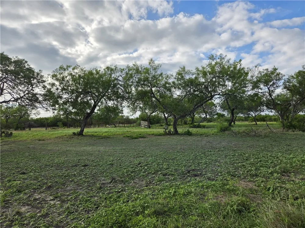 3073 Bravo 6 San Diego, TX 78384