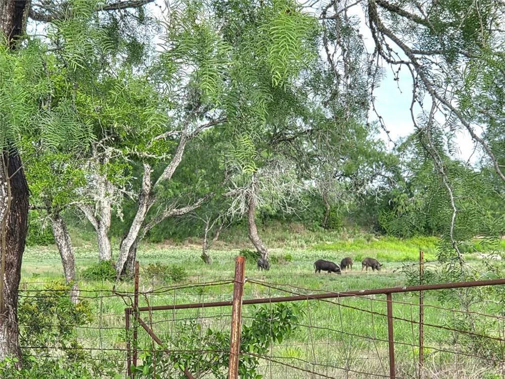 3073 Bravo 6 San Diego, TX 78384