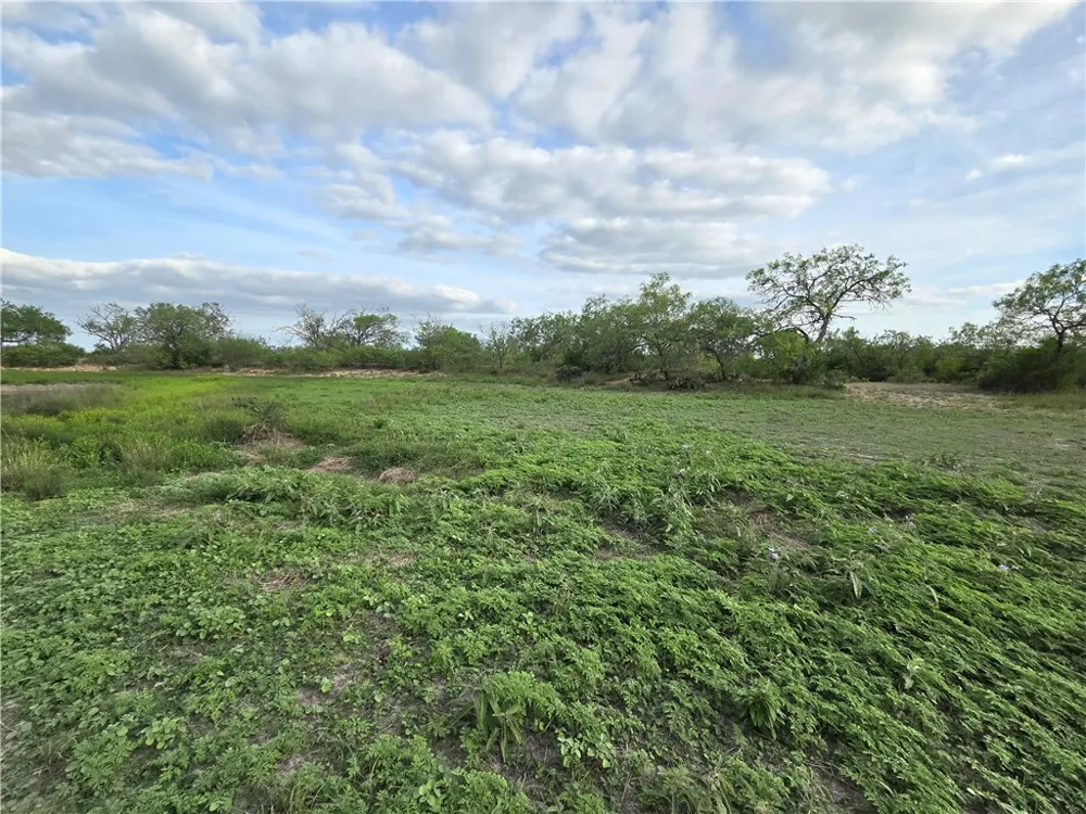 3073 Bravo 6 San Diego, TX 78384