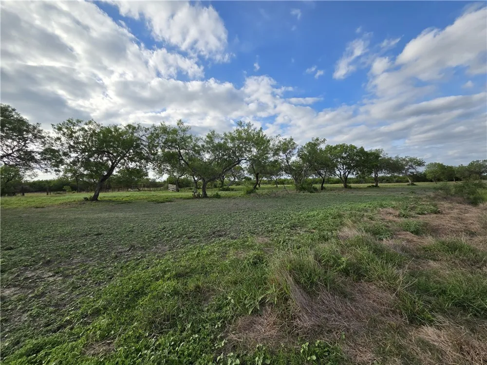 3073 Bravo 6 San Diego, TX 78384