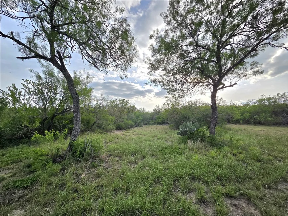 3073 Bravo 6 San Diego, TX 78384