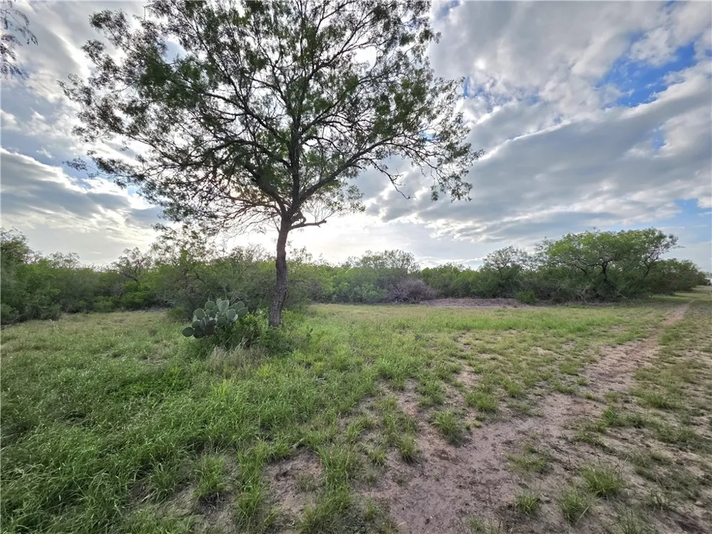 3073 Bravo 6 San Diego, TX 78384