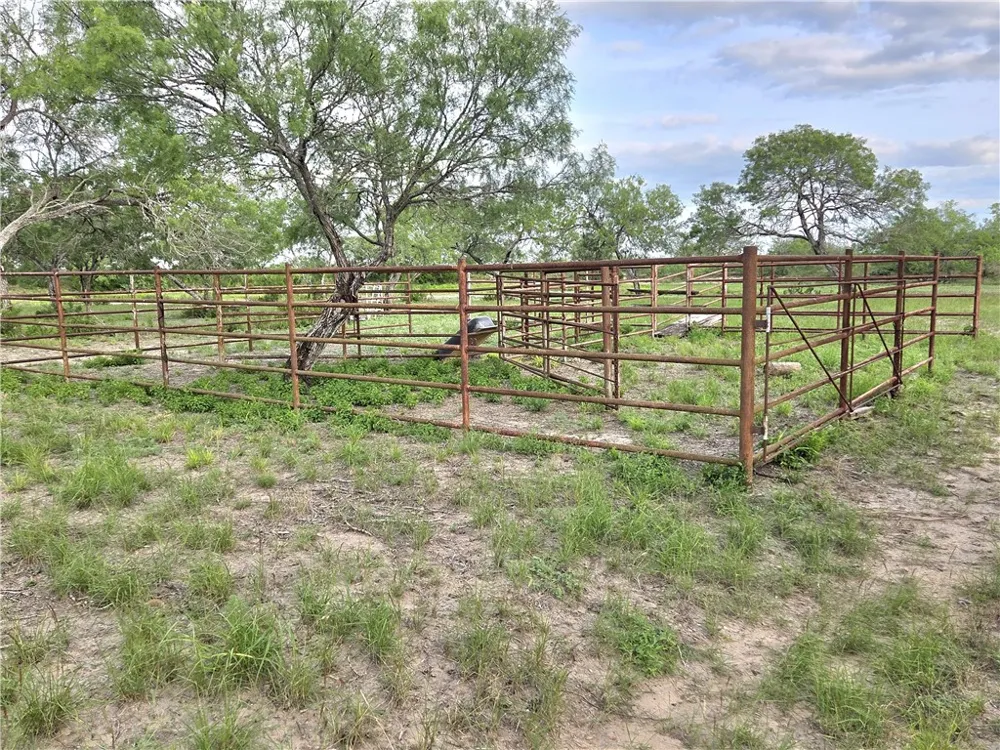 3073 Bravo 6 San Diego, TX 78384