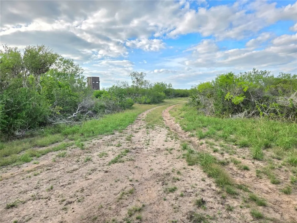 3073 Bravo 6 San Diego, TX 78384