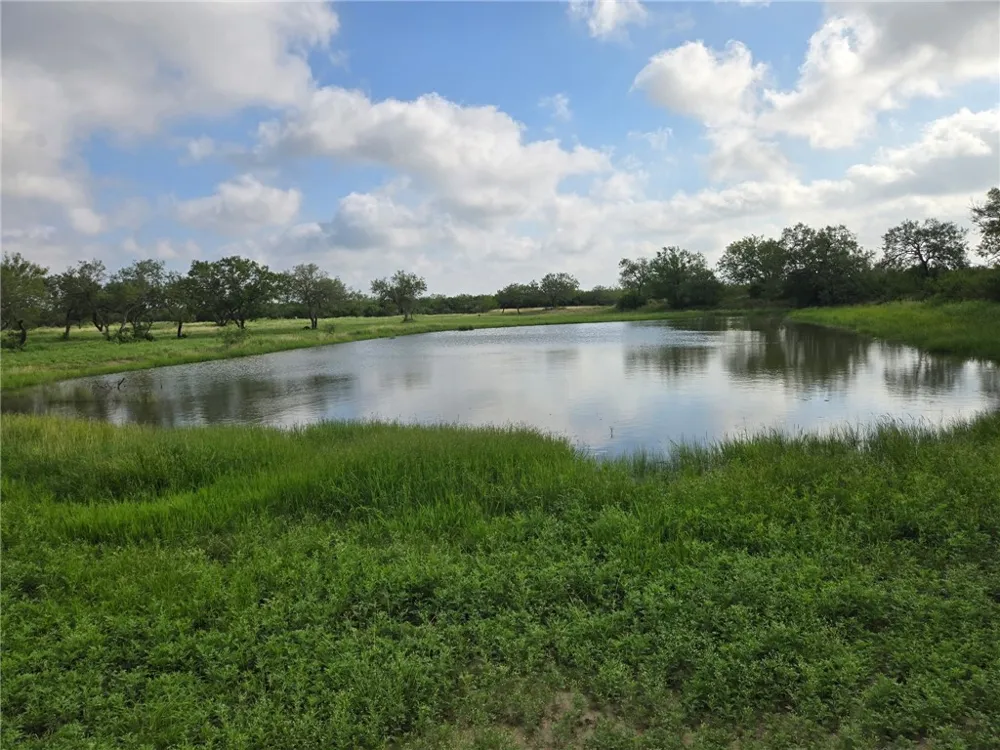 3073 Bravo 6 San Diego, TX 78384