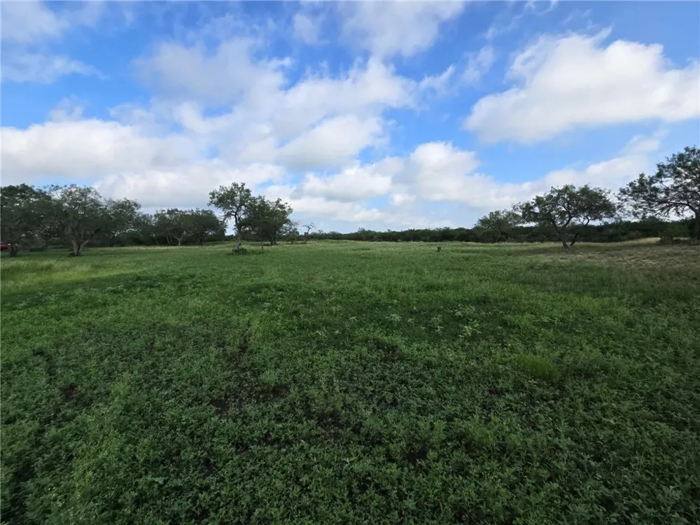 3073 Bravo 6 San Diego, TX 78384