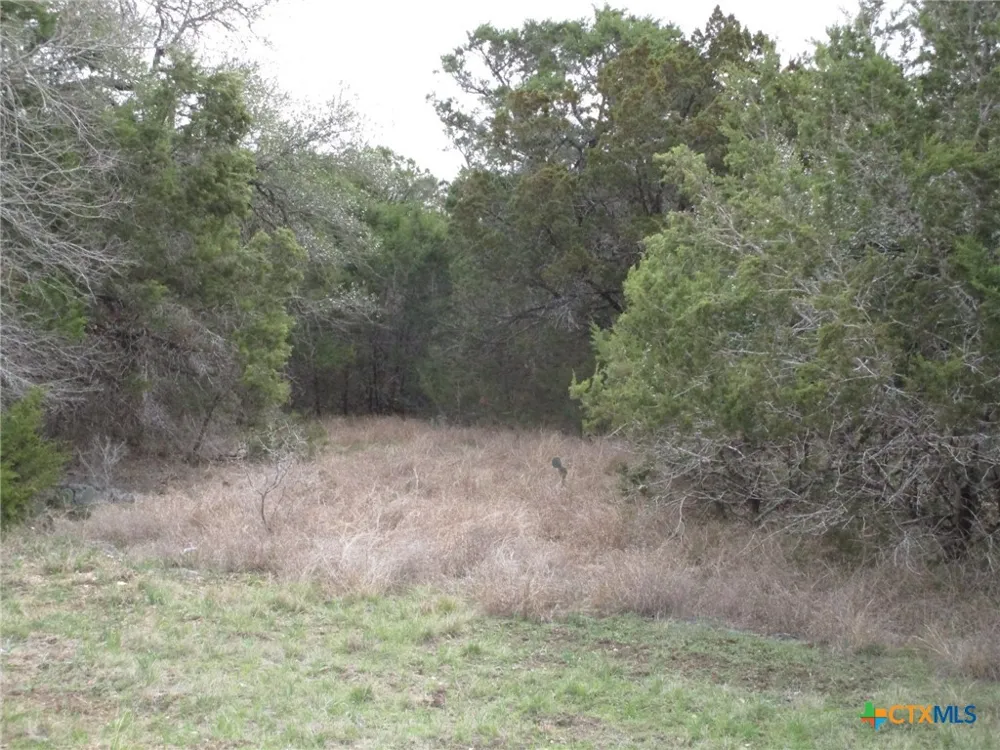 138 Bear Creek Drive New Braunfels, TX 78132