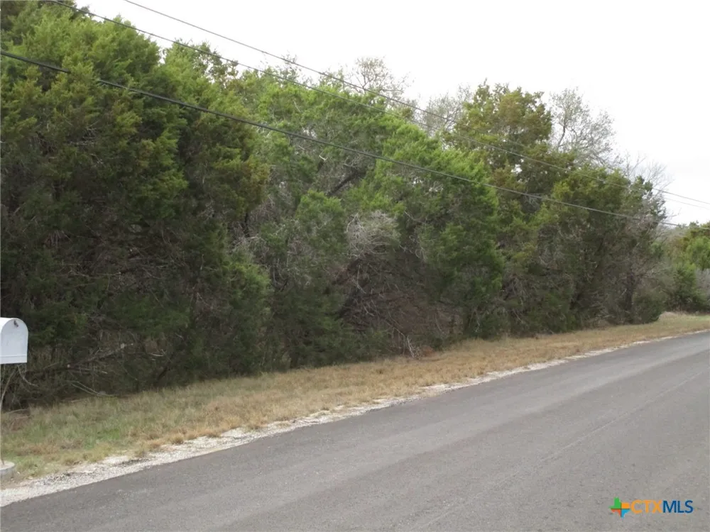138 Bear Creek Drive New Braunfels, TX 78132