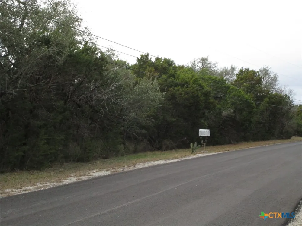 138 Bear Creek Drive New Braunfels, TX 78132