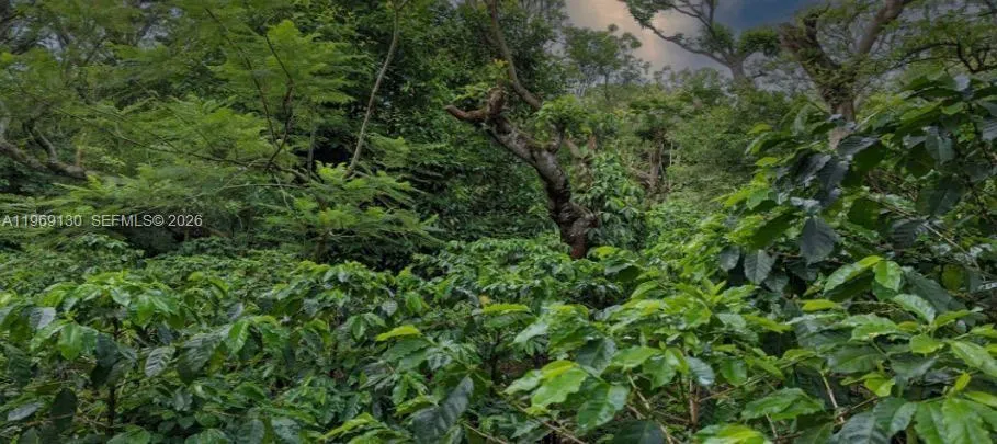 Santa Barbara de Heredia, Costa Rica 00000