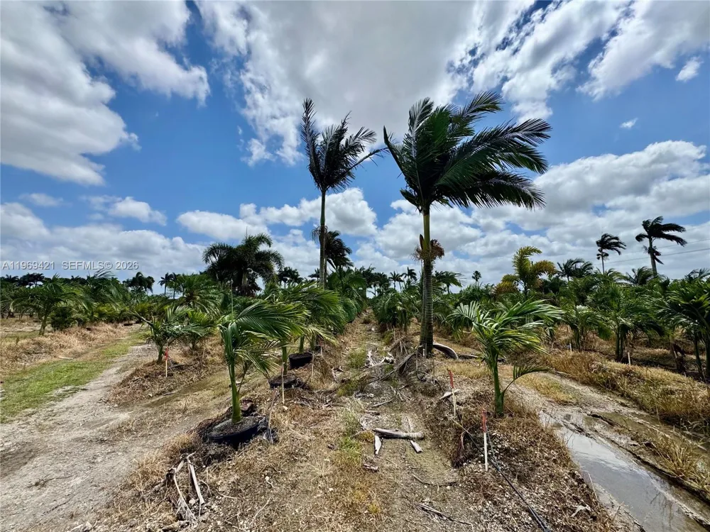 328 SW 202 Ave Homestead, FL 33034