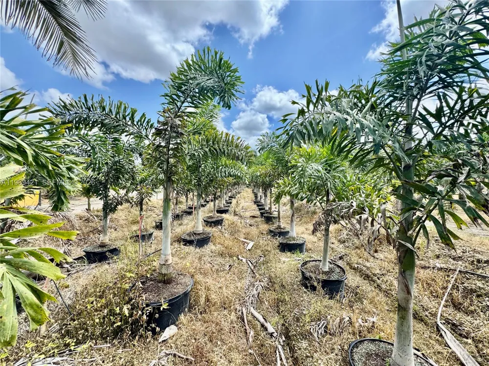 328 SW 202 Ave Homestead, FL 33034