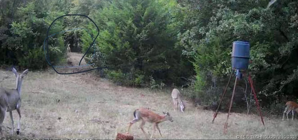 County Road 3430 Stratford, OK 74872