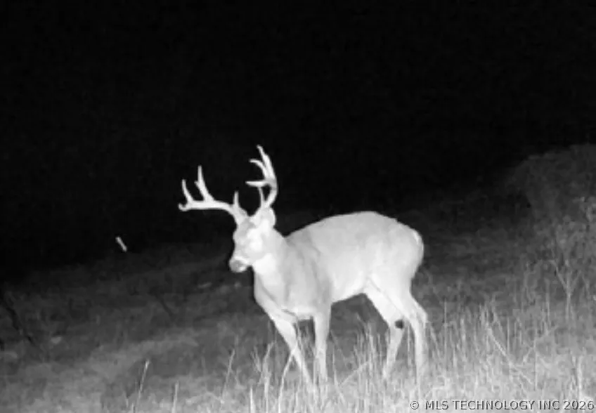 County Road 3430 Stratford, OK 74872