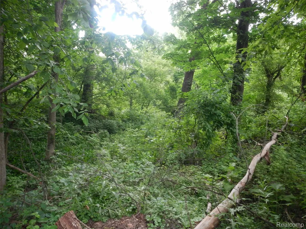 Johnson Drive | Lot 1 Lake Orion Village, MI 48362