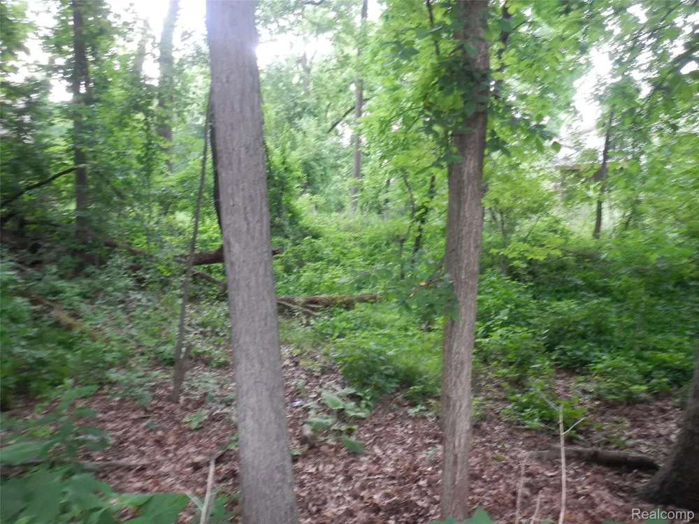 Johnson Drive | Lot 2 Lake Orion Village, MI 48362