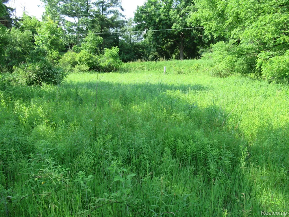 S Hadley Road Ortonville Village, MI 48348